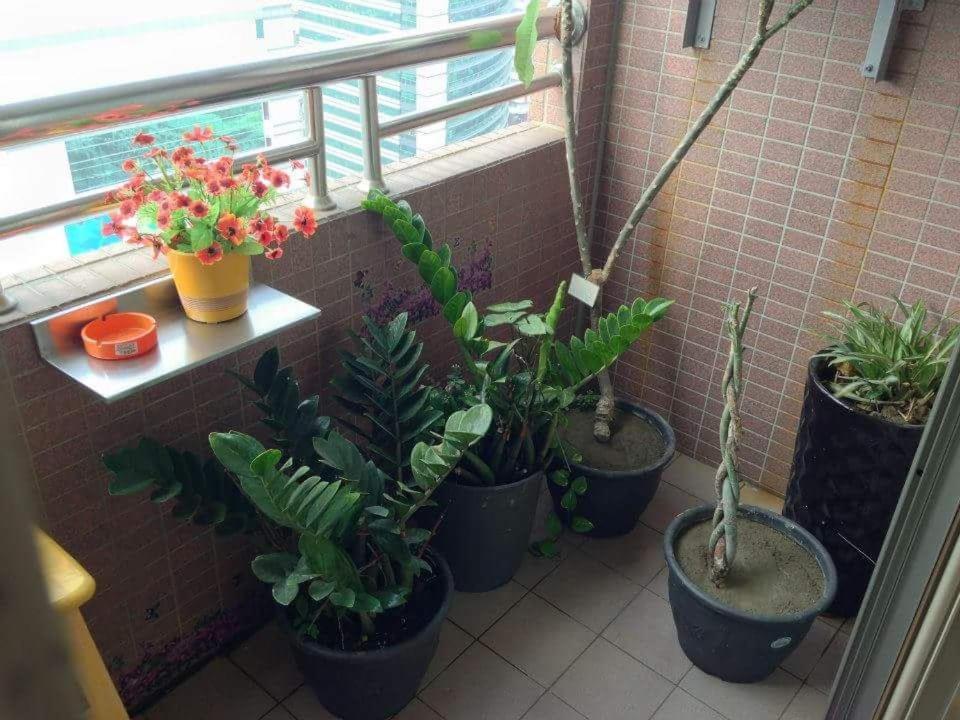 카오슝 Jia Jia House 아파트 외부 사진
